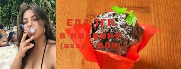 сатива Бородино