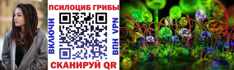 сайты даркнета наркотические препараты  МЕГА ТОР  Псилоцибиновые грибы Cubensis  Карабулак  наркота 