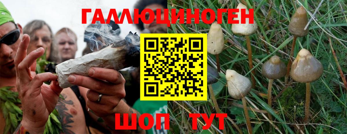 Галлюциногенные грибы GOLDEN TEACHER  Вход с VPN  Карабулак 